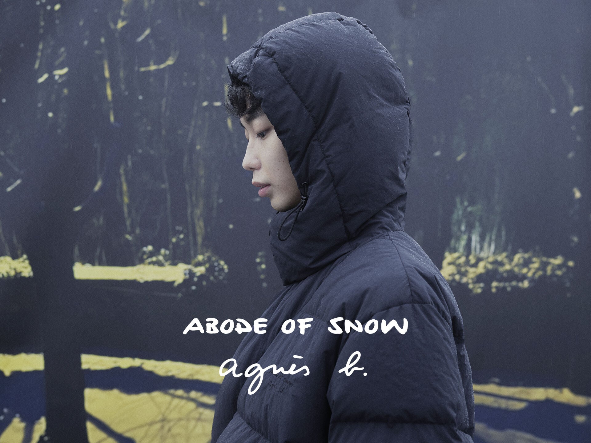 agn&egrave;s b. x Abode of Snow
